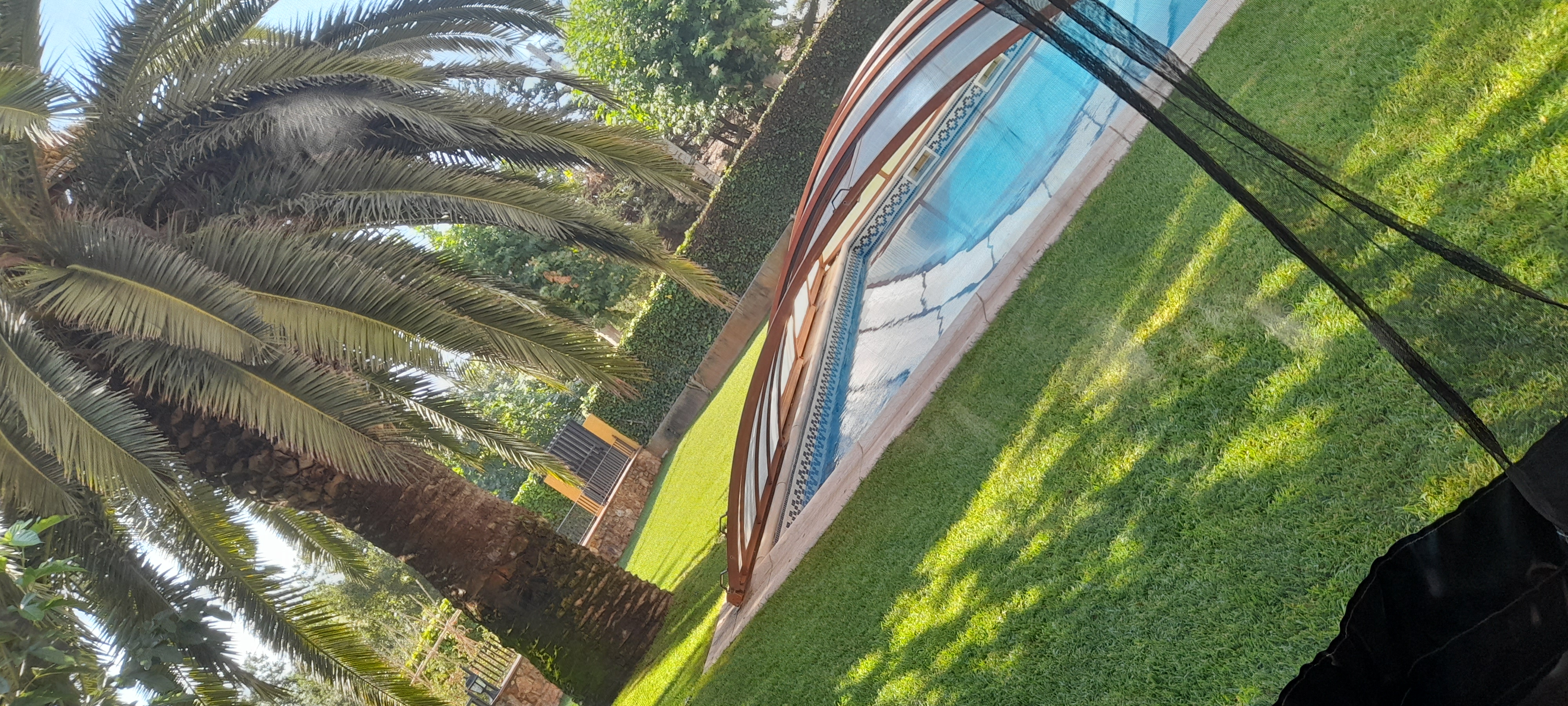 Vista aérea del jardín