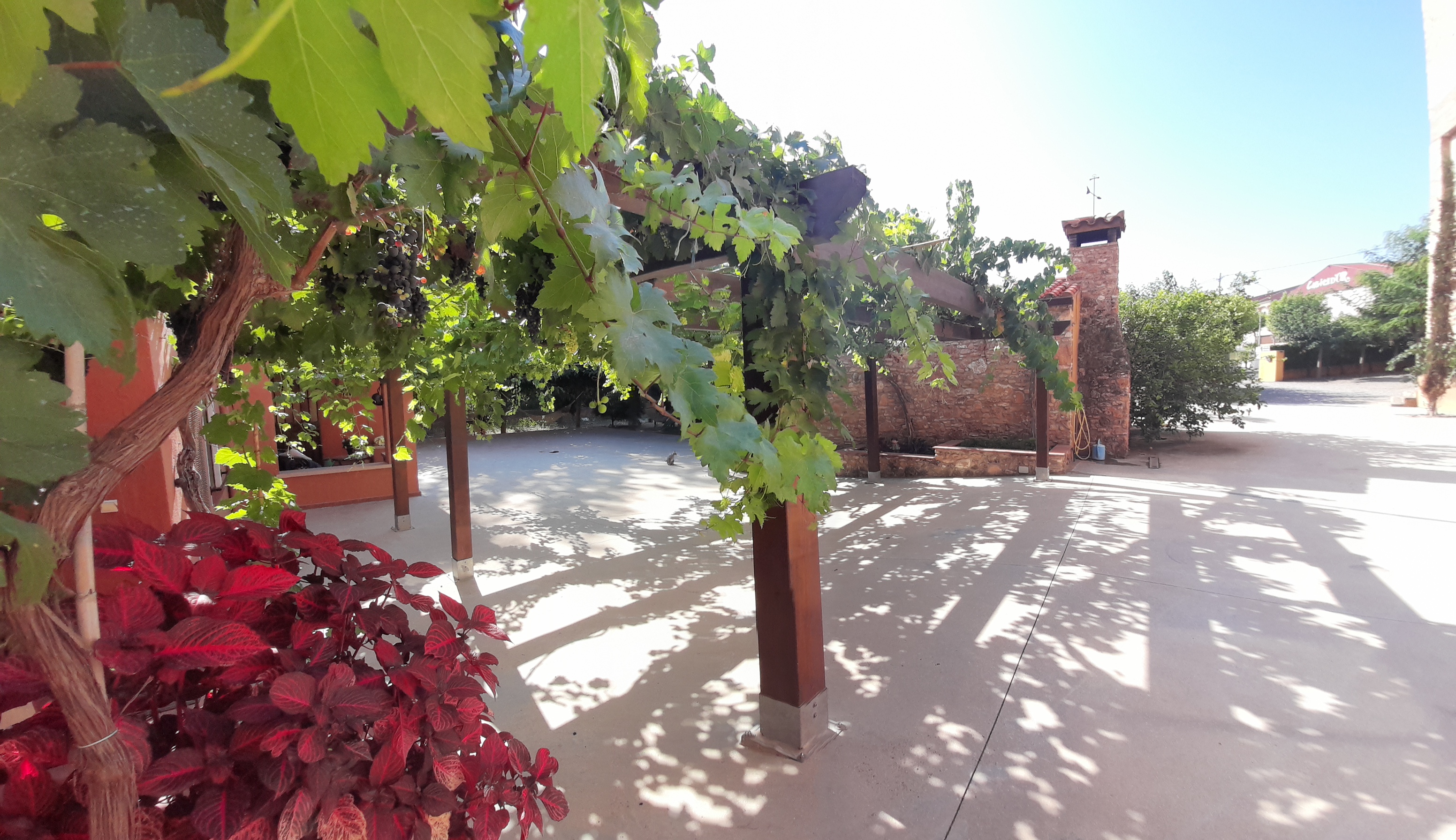 Vista aérea del jardín