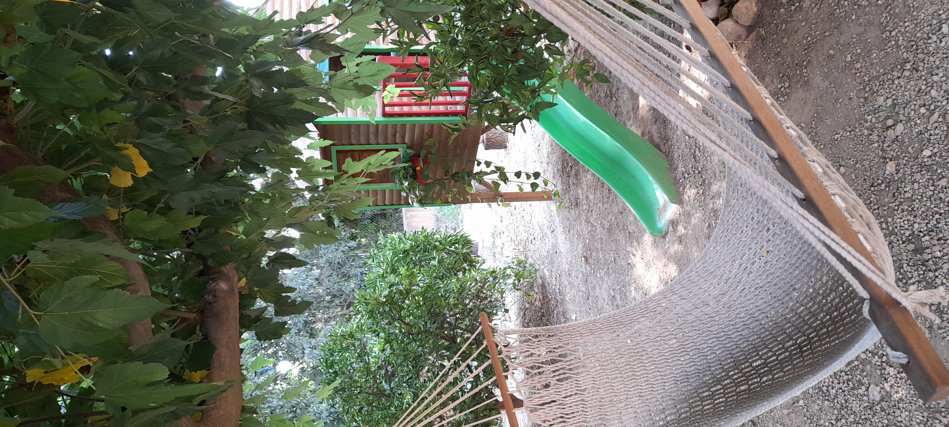 Vista aérea del jardín