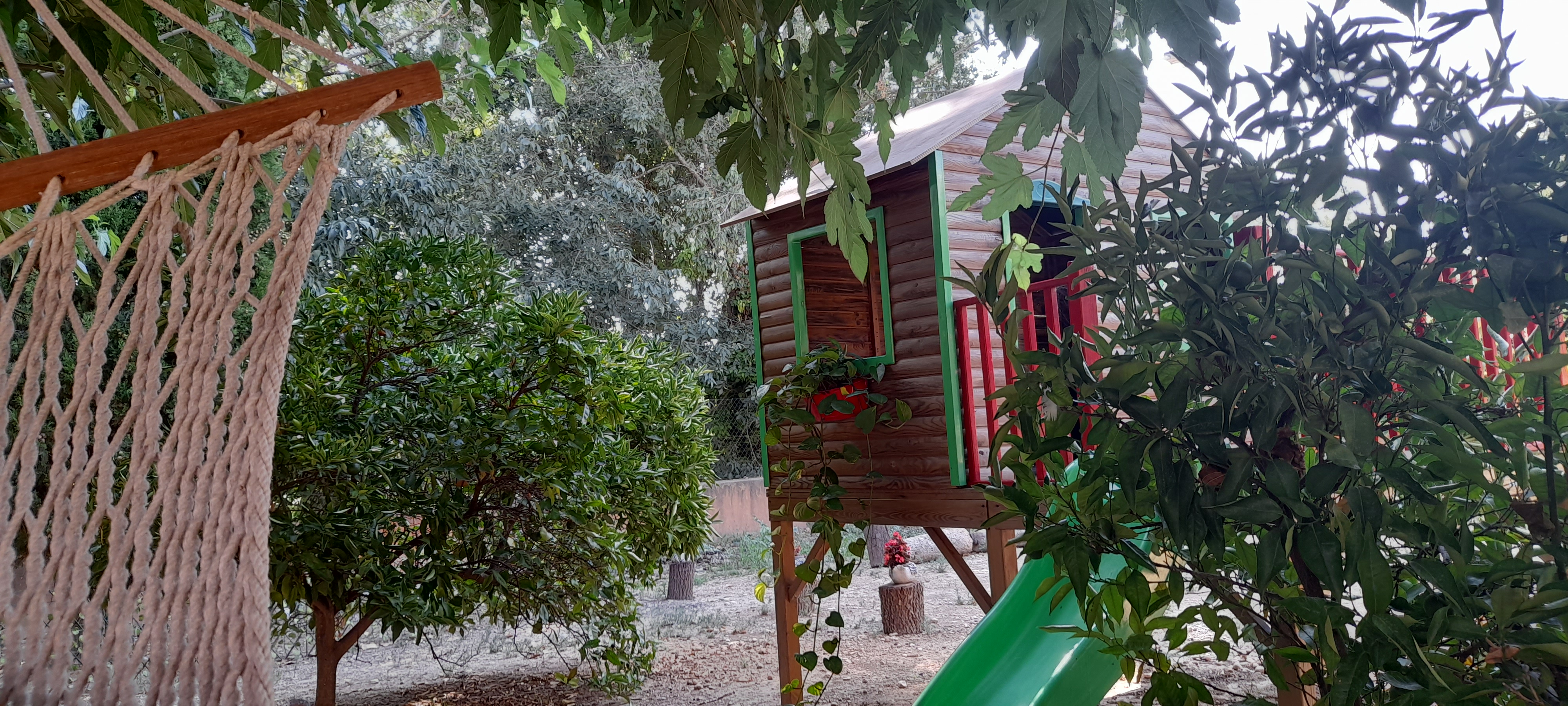 Vista aérea del jardín