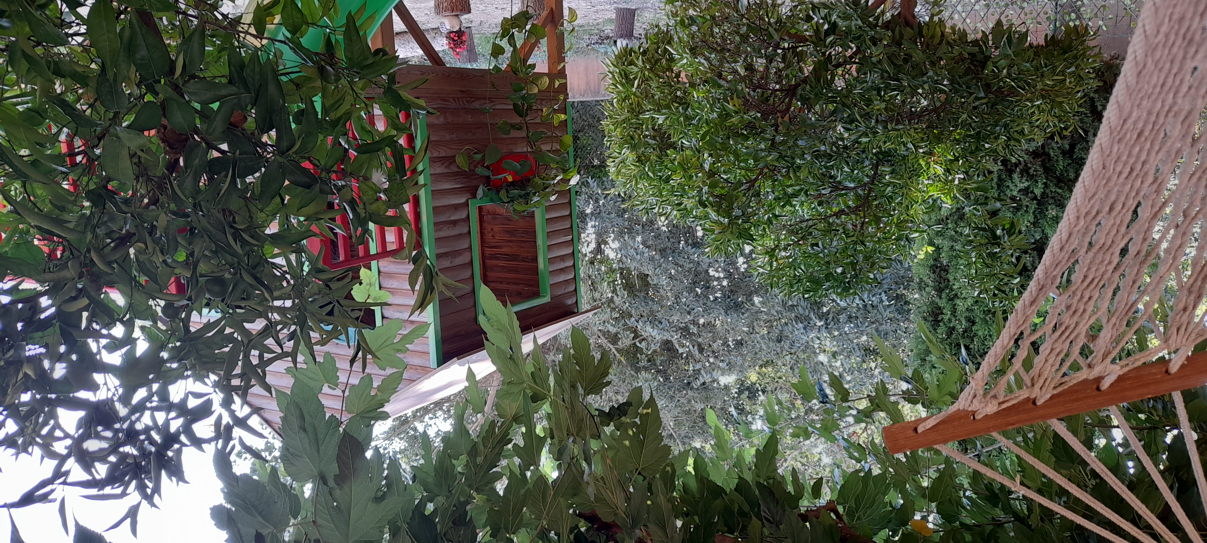 Vista aérea del jardín