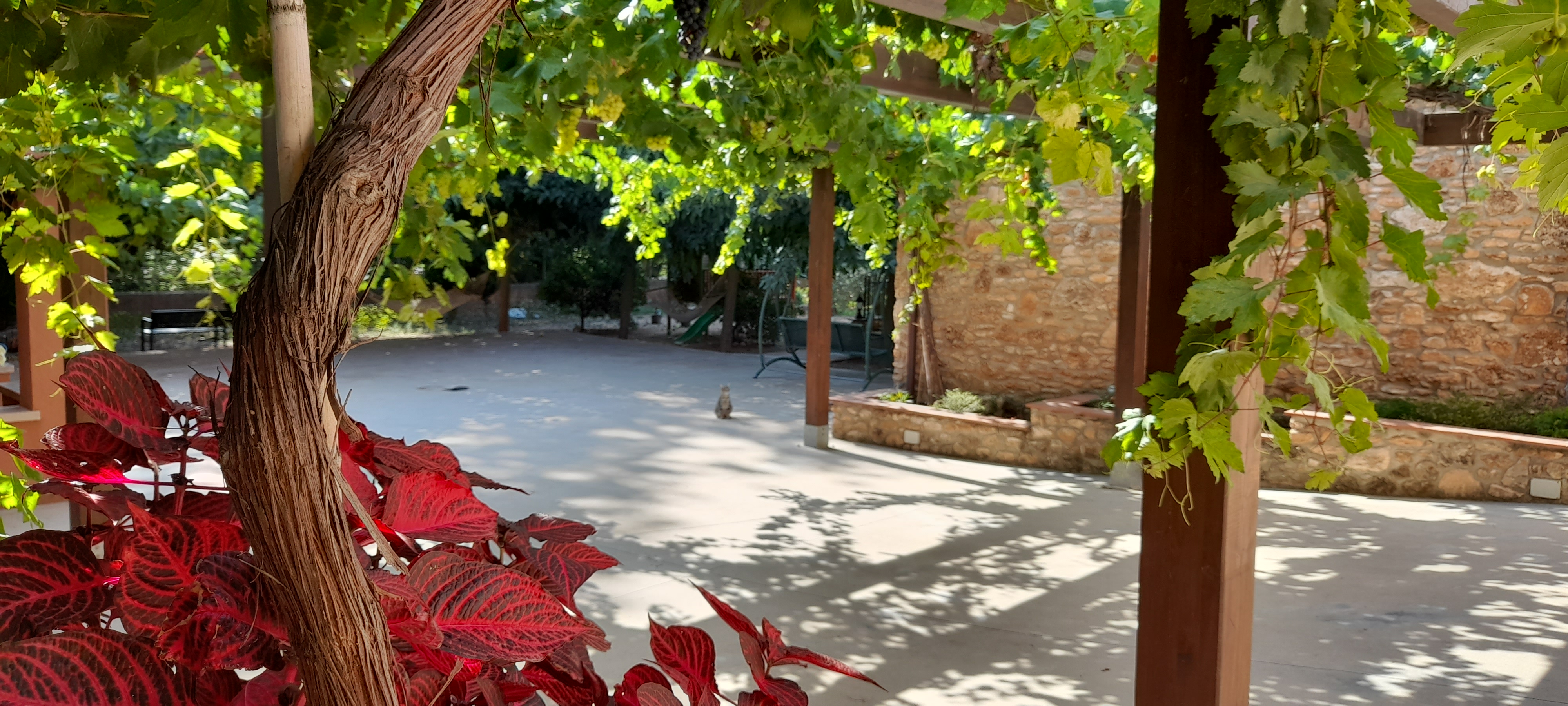 Vista aérea del jardín